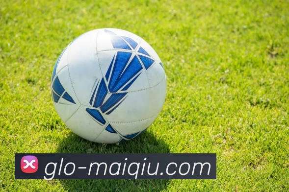 买球线上官方APP 封面图